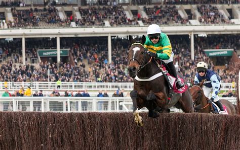 Cheltenham Festival » Full Race Schedule and Best Odds Listings.